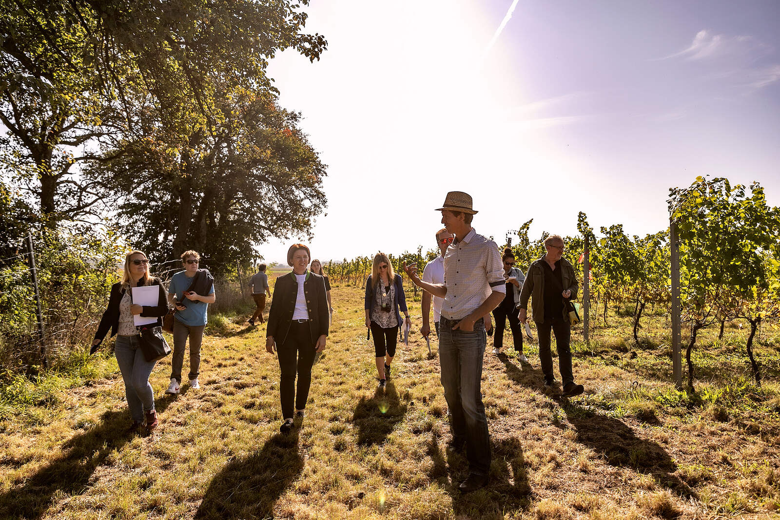 Gruppe bei einer Weinpressefahrt im Weingarten